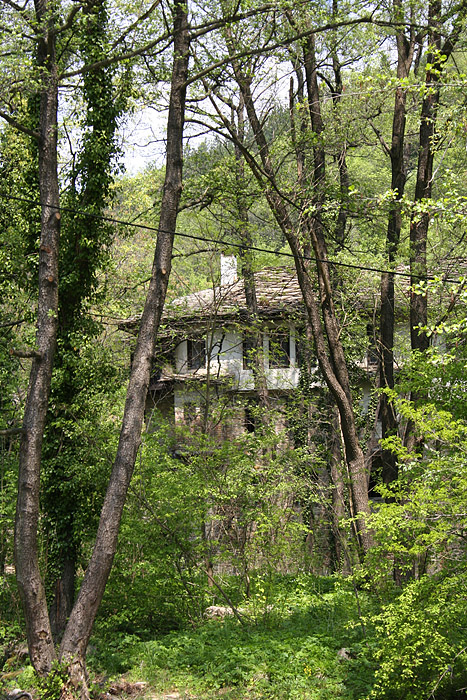 Photo of Travels