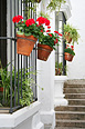 Снимки на Пътувания